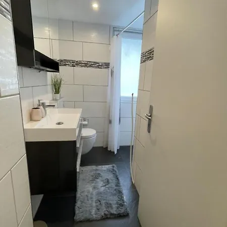 Apartment Mit Privatem Parkplatz By Interhome Unterterzen