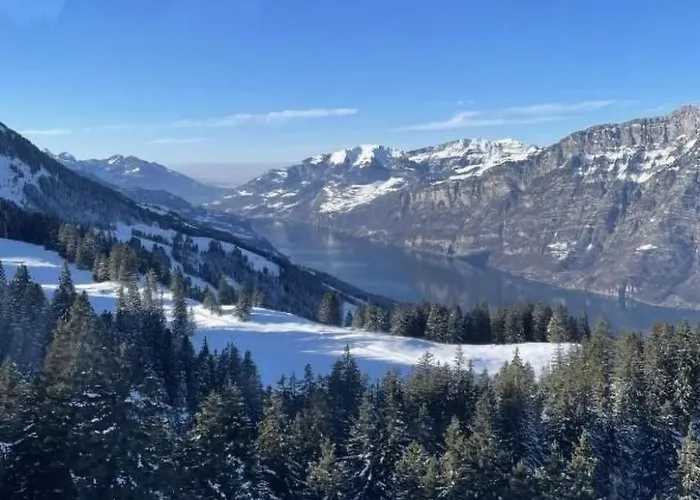 Mit Privatem Parkplatz By Interhome Apartamento Unterterzen